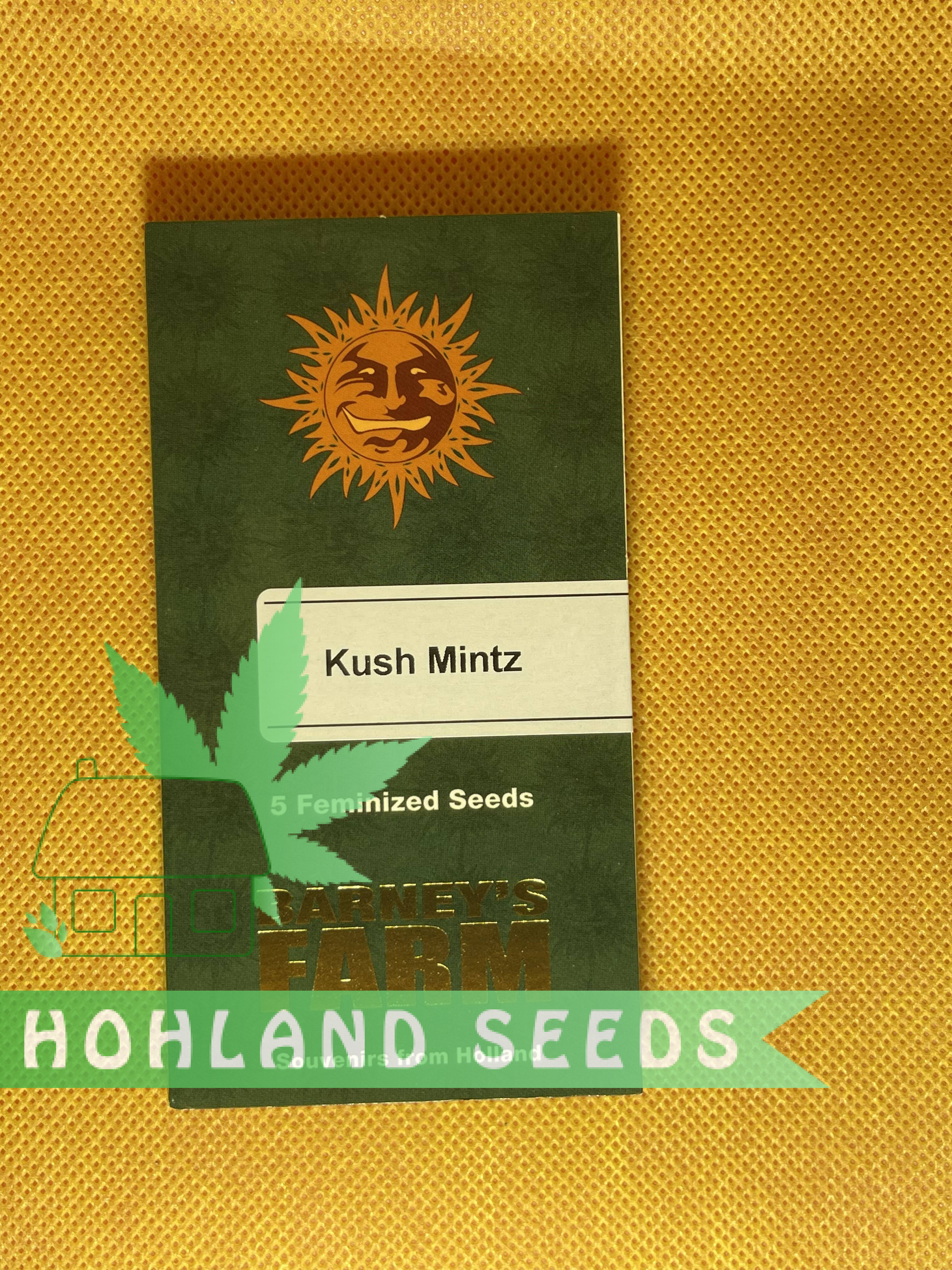 Африкалық тайпалардағы жыныстық қатынасты қараңыз